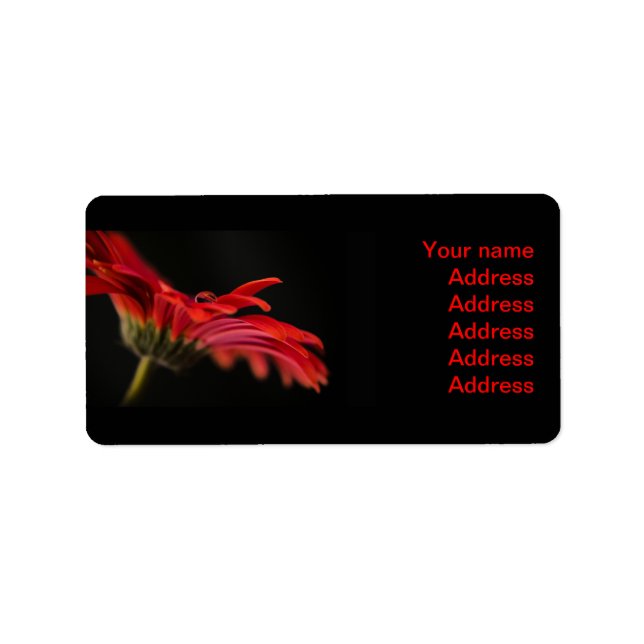 Red Gerbera Blume Wedding Address Labels Adressaufkleber (Vorne)