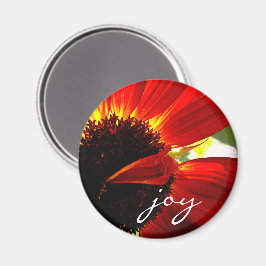 Red Gerbera Daisy Foto Joy Script Bold Modern Magnet