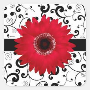 Red Gerbera Daisy mit Black Scroll Design Siegel Quadratischer Aufkleber