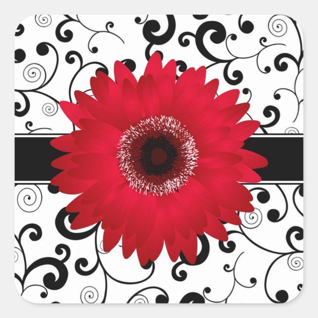 Red Gerbera Daisy mit Black Scroll Design Siegel Quadratischer Aufkleber (Vorderseite)