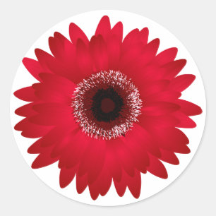 Red Gerbera Daisy Runder Aufkleber