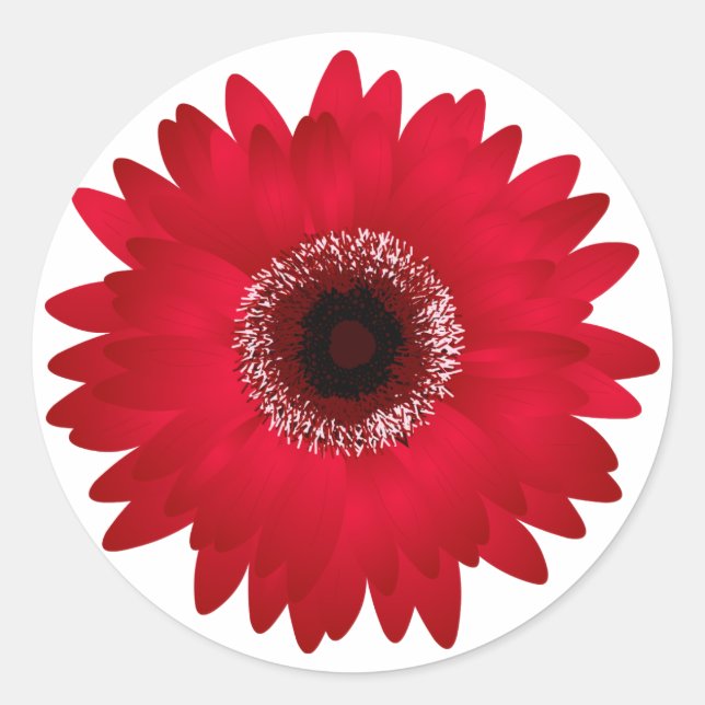 Red Gerbera Daisy Runder Aufkleber (Vorderseite)