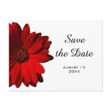 Red Gerbera Daisy Save the Date Postcard