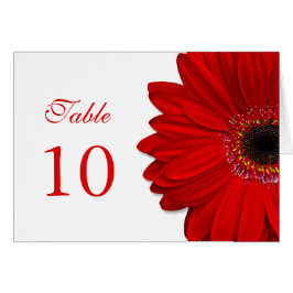 Red Gerbera Daisy Wedding Table Card