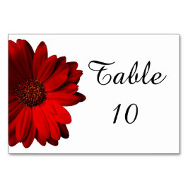 Red Gerbera Daisy Wedding Table Card Tischnummer