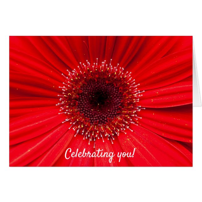 Red Gerbera Daisy zum Geburtstag (Vorderseite (Horizontal))
