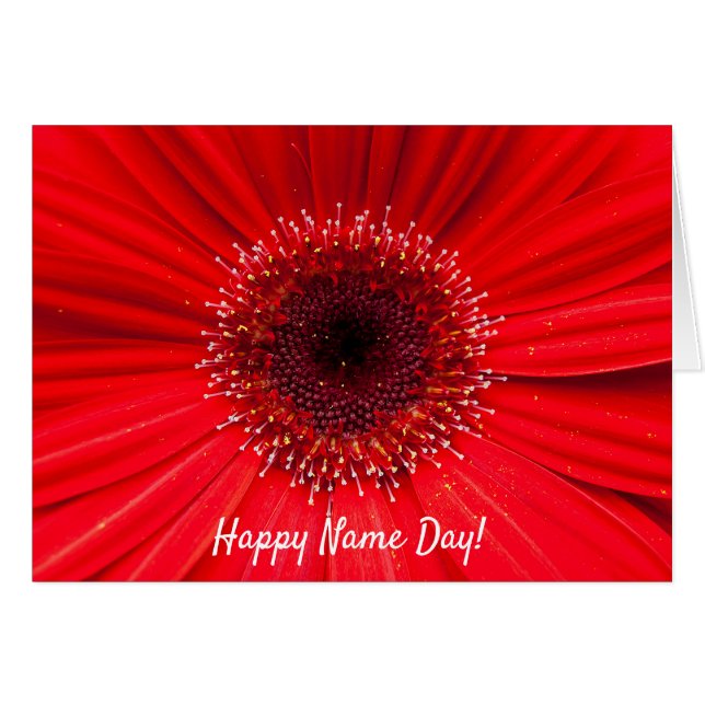 Red Gerbera Daisy zum Namenstag (Vorderseite (Horizontal))