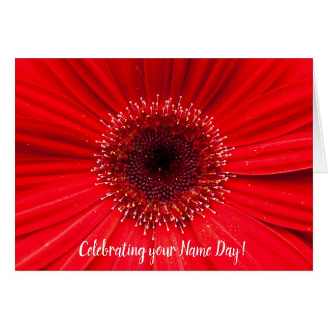 Red Gerbera Daisy zum Namenstag (Vorderseite (Horizontal))