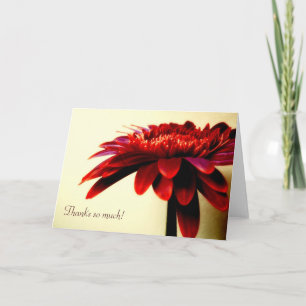 Red Gerbera Danke-Card Dankeskarte