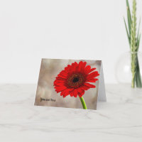 Red Gerbera Faltkarte