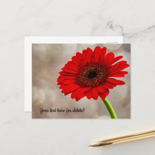 Red Gerbera Postcard Postkarte