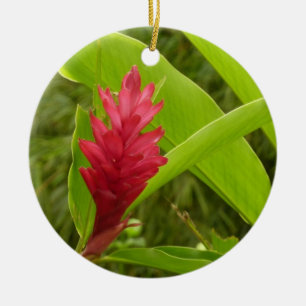 Red Ginger Blume (Alpinia) Tropical Keramik Ornament
