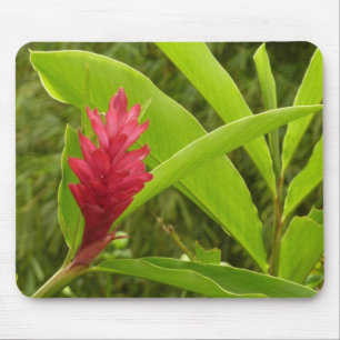Red Ginger Blume (Alpinia) Tropical Mousepad