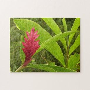 Red Ginger Blume (Alpinia) Tropical Puzzle