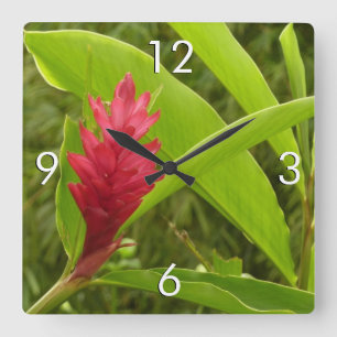 Red Ginger Blume (Alpinia) Tropical Quadratische Wanduhr