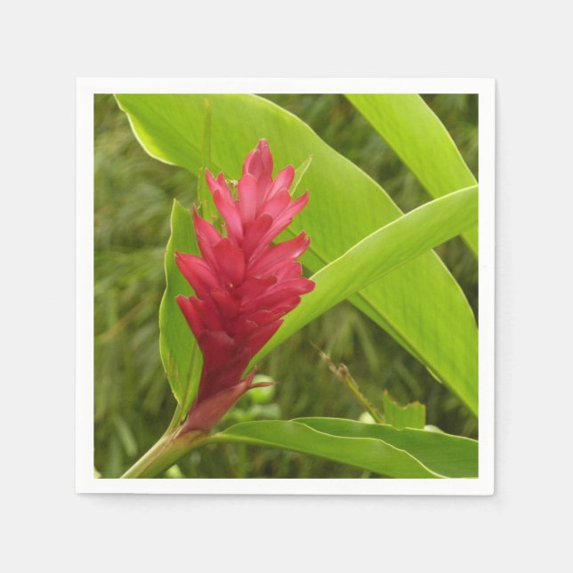 Red Ginger Blume (Alpinia) Tropical Serviette (Vorderseite)