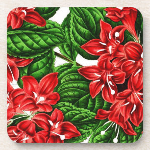 Red ginger flowers, vintage print getränkeuntersetzer