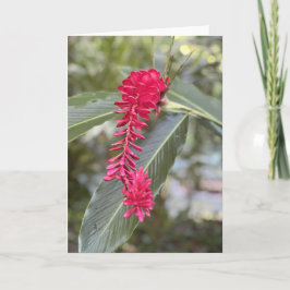 Red Ginger Note Card<Blank Inside> Einladung