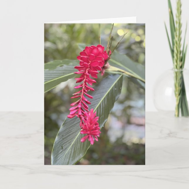 Red Ginger Note Card<Blank Inside> Einladung (Vorderseite)