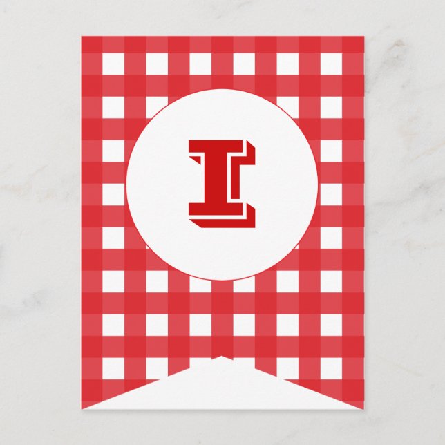 Red Gingham Party Flag Bunting Banner Post Card Postkarte (Vorderseite)