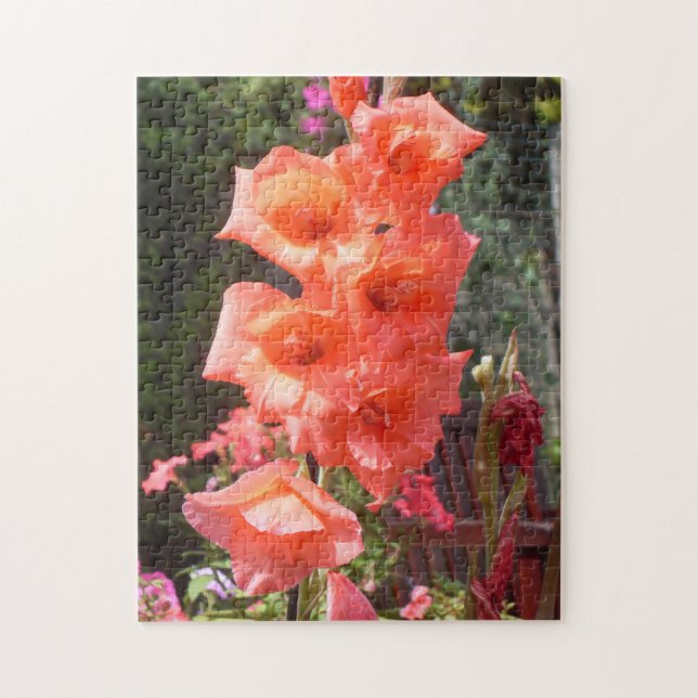 Red Gladioli Blume Puzzle (Vertikal)