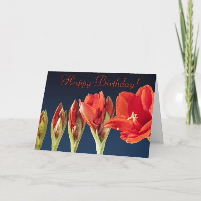 Red Gladiolus Birthday Card Karte (Vorderseite)