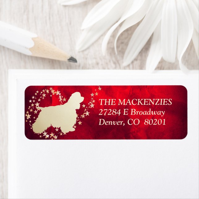 Red Gold Star Swirl American Cocker Spaniel (Insitu)