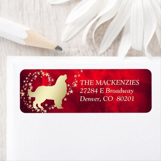 Red Gold Star Swirl Bernese Mountain Dog (Insitu)