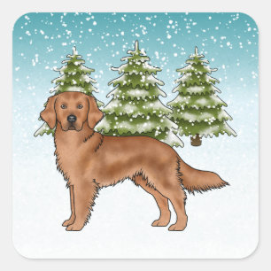 Red Golden Retriever Dog Blue Snowy Weihnachten Quadratischer Aufkleber