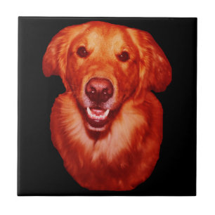 Red Golden Retriever Front Profile Fliese