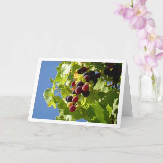 Red Grapes Green Blätter Card Karte (Orchidee)