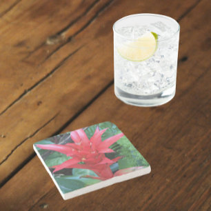 Red Guzmania Bromeliad Floral Steinuntersetzer