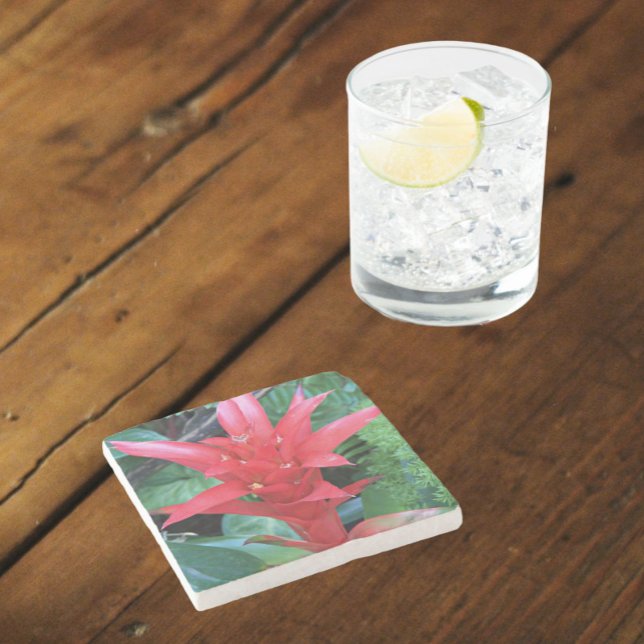 Red Guzmania Bromeliad Floral Steinuntersetzer (In Situ)