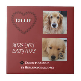 Red Halo Pet Remembrance  Fliese