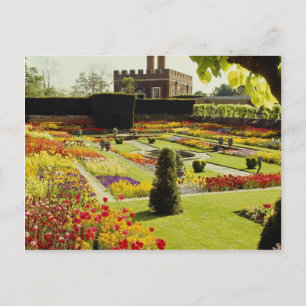 Red Hampton Court Palace Garden, England Blume Postkarte