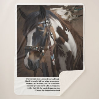 Red Hawk's horse Sundance Sherpadecke