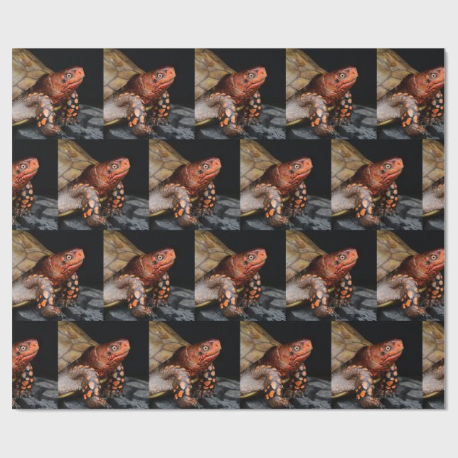 Red Head Eastern Box Turtle Geschenkpapier (Flach)