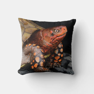 Red Head Eastern Box Turtle Kissen