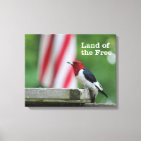 Red-headed Woodpecker