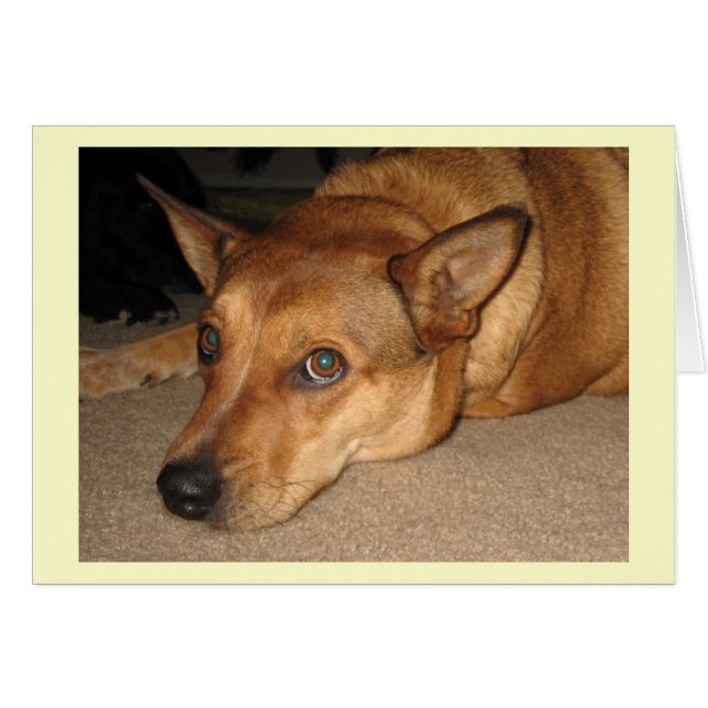 Red Heeler Cattle Dog - Ranch Dog Lover - Leere (Vorderseite (Horizontal))