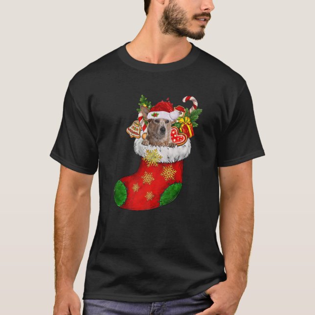 RED Heeler in Sock Weihnachten Weihnachtsmannmütze T-Shirt (Vorderseite)