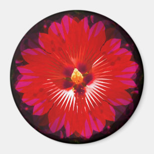 Red Hibiscus Flower Kaleidoscope, Magnet