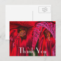 Red Hibisken Abstrakt Floral Vielen Dank Postcard