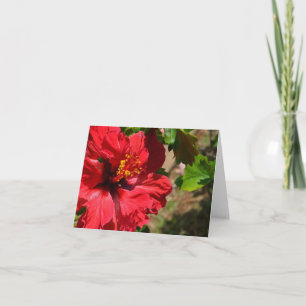 Red Hibiskus Note Card Feiertagskarte