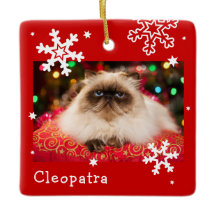 Red Holiday Pet Foto Snowflake