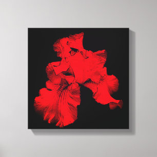 Red Hot Bearted Iris Blume Abstrakt Leinwanddruck