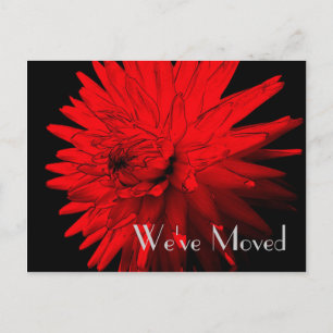 Red Hot Dahlia New Address Floral Art Postkarte