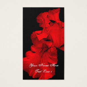 Red Hot Iris Blume Art