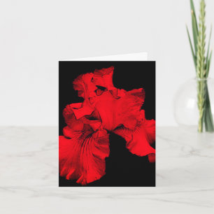Red Hot Iris Blume Art Blank Note Card Dankeskarte