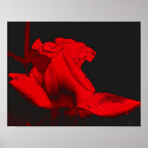 Red Hot Rosenknospe Abstrakt Blumen Art Poster